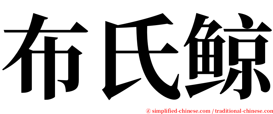 布氏鲸 serif font