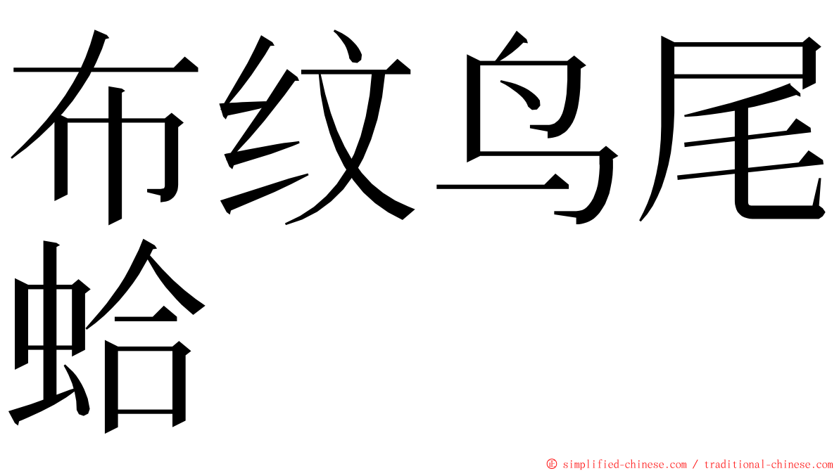 布纹鸟尾蛤 ming font