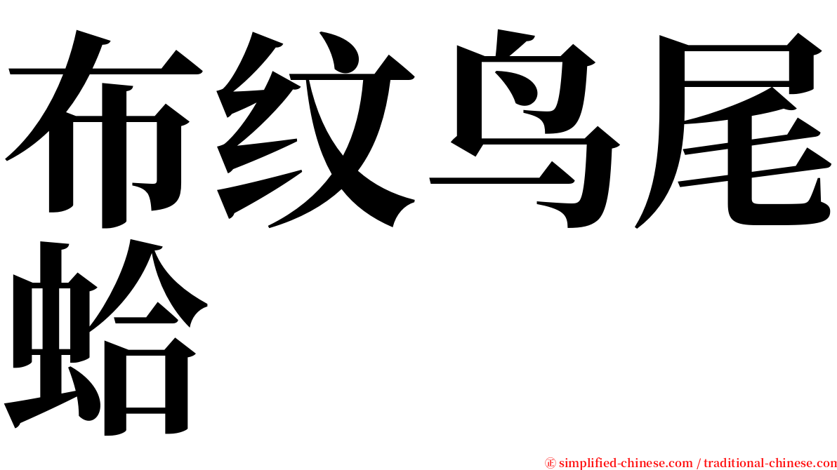 布纹鸟尾蛤 serif font