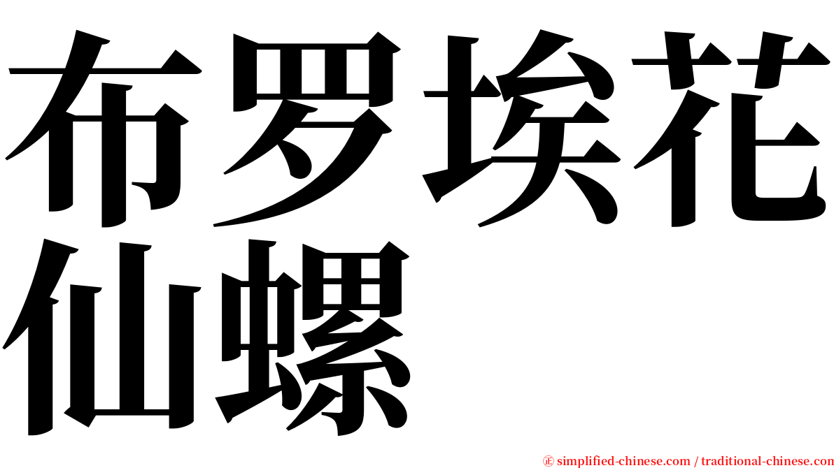 布罗埃花仙螺 serif font