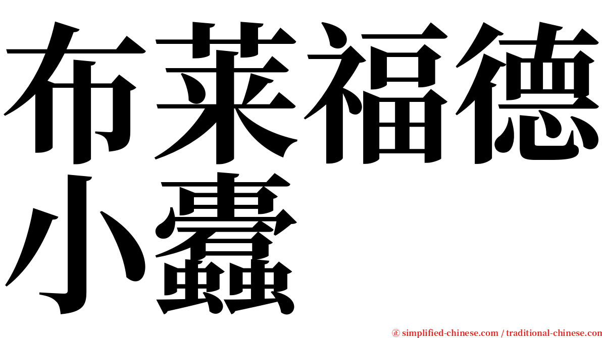 布莱福德小蠹 serif font