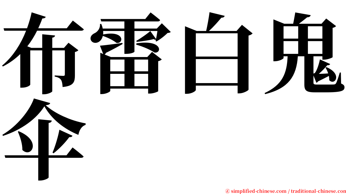 布雷白鬼伞 serif font