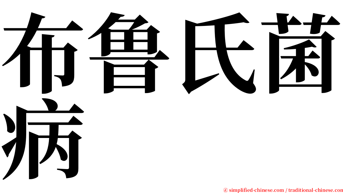 布鲁氏菌病 serif font