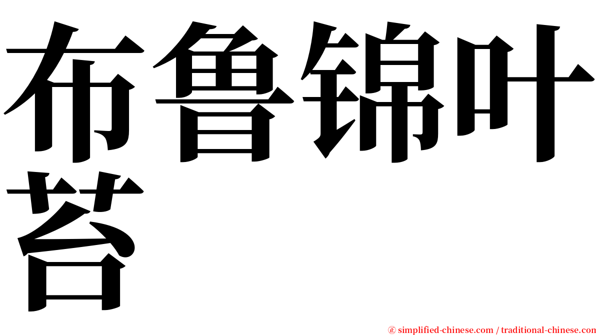 布鲁锦叶苔 serif font