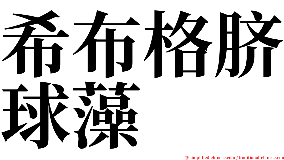 希布格脐球藻 serif font