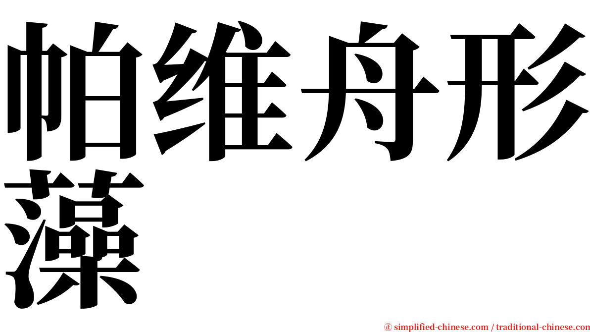 帕维舟形藻 serif font