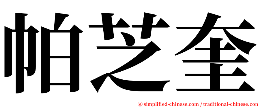 帕芝奎 serif font