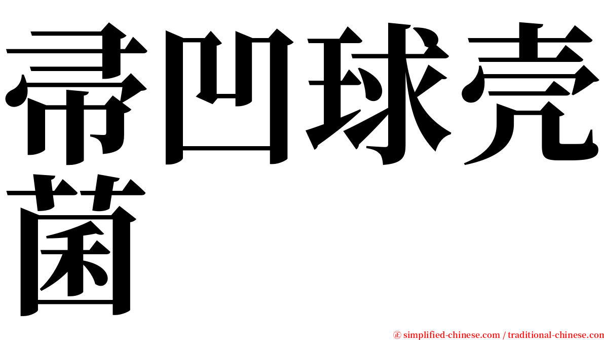 帚凹球壳菌 serif font