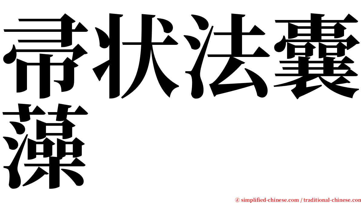 帚状法囊藻 serif font