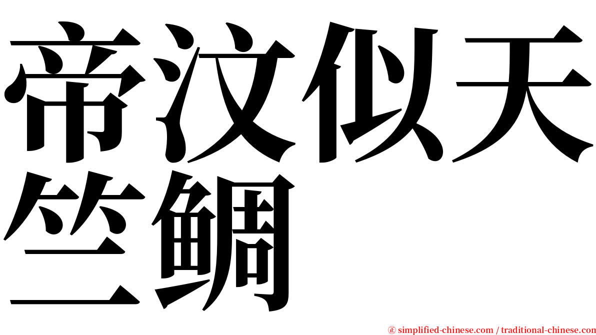 帝汶似天竺鲷 serif font