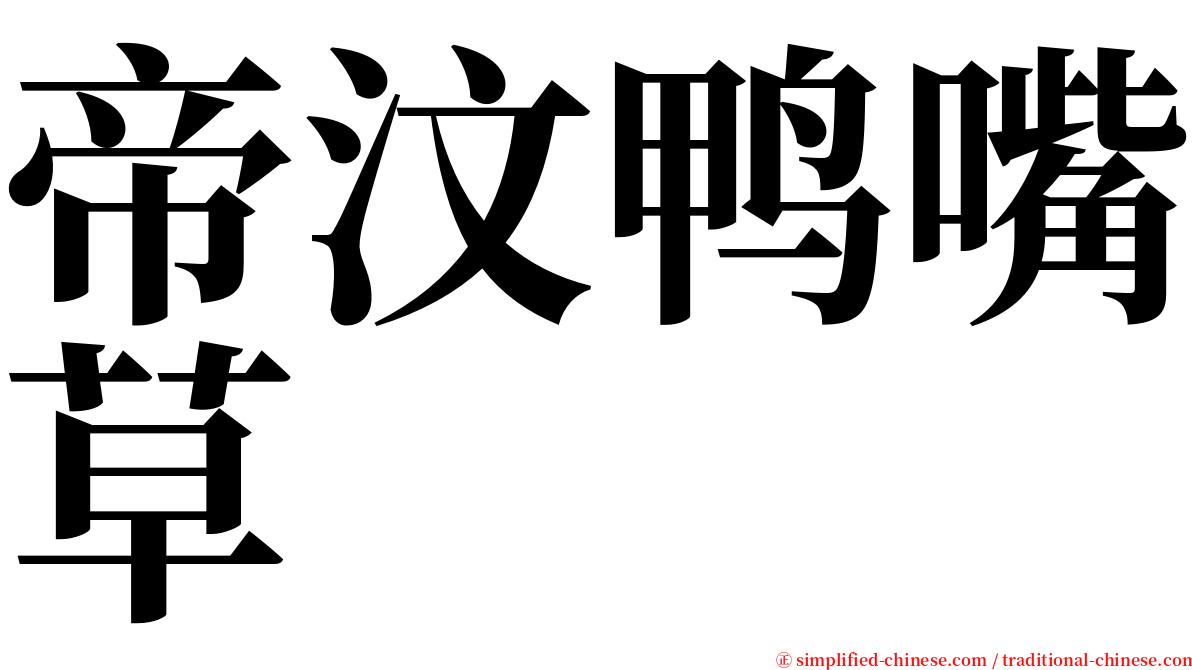 帝汶鸭嘴草 serif font