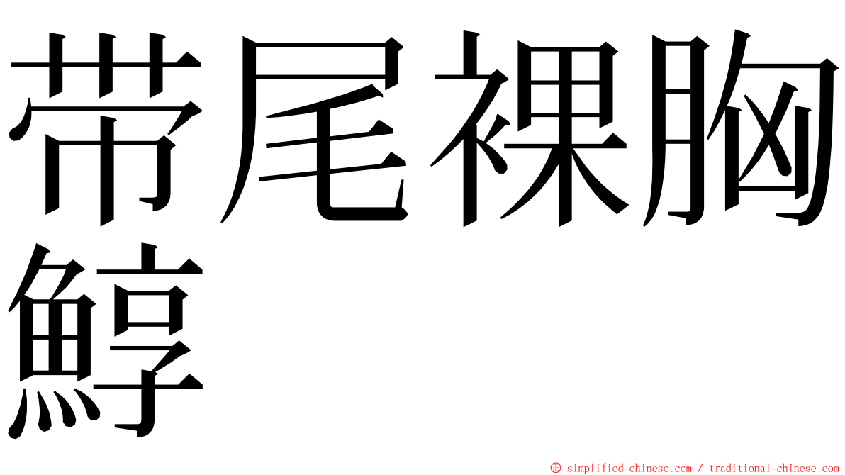 带尾裸胸鯙 ming font