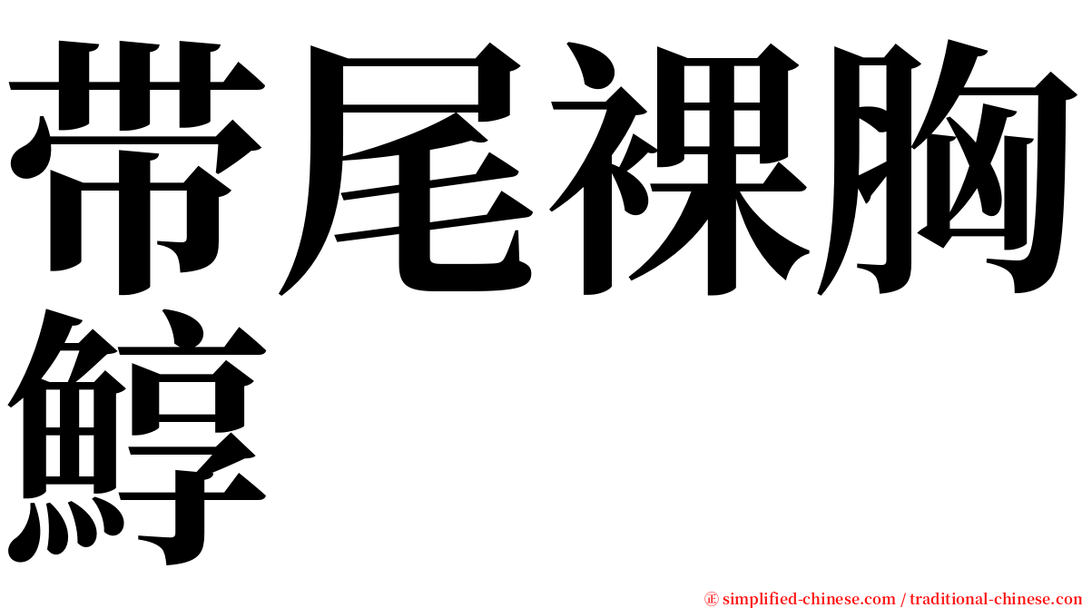 带尾裸胸鯙 serif font