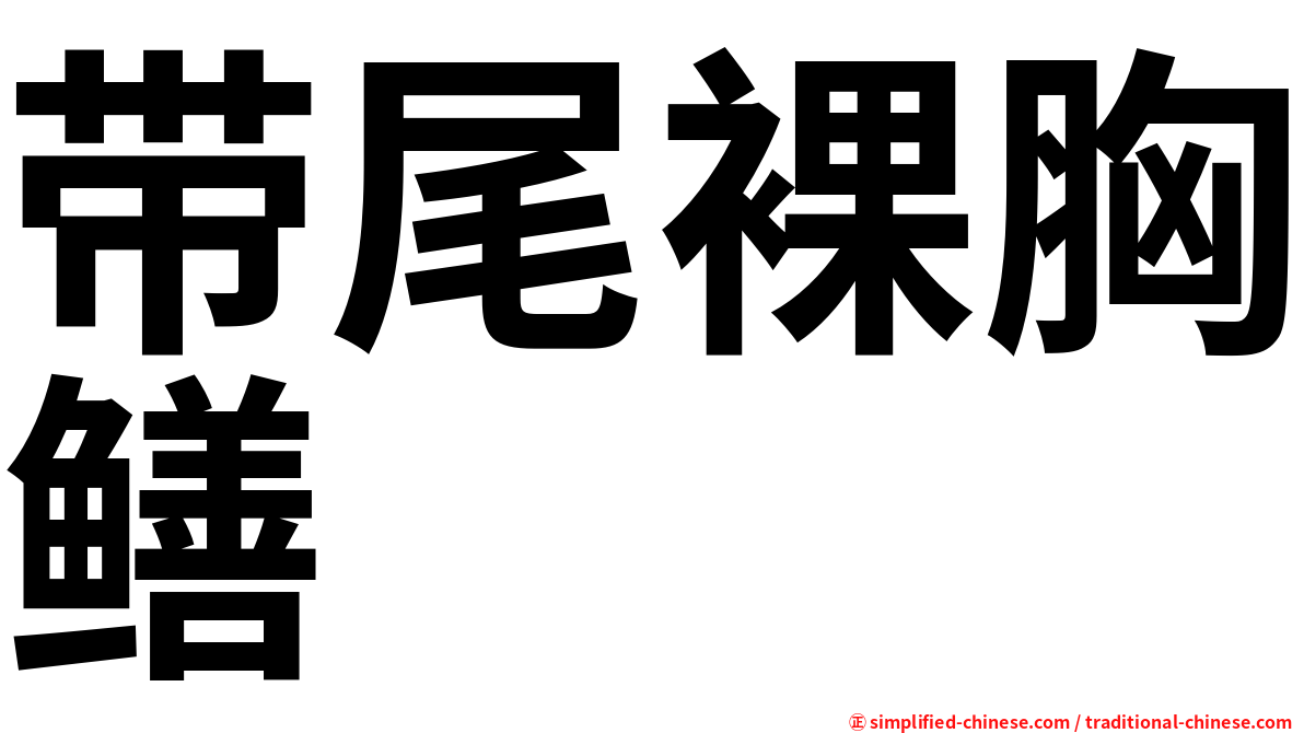 带尾裸胸鳝