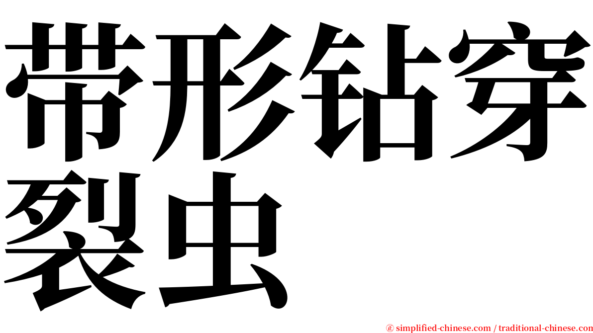 带形钻穿裂虫 serif font