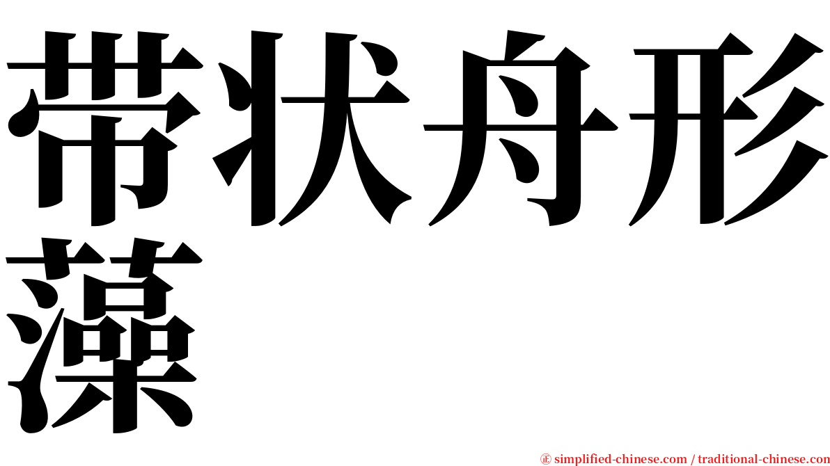 带状舟形藻 serif font