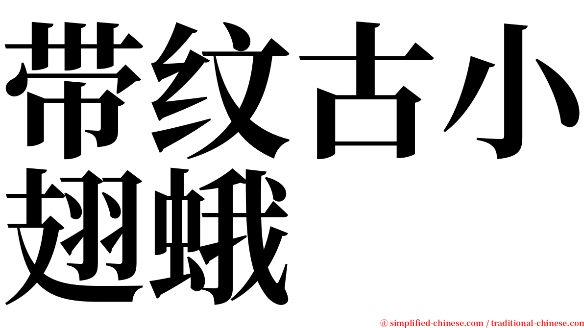 带纹古小翅蛾 serif font