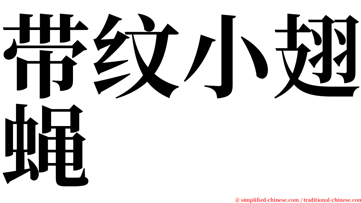 带纹小翅蝇 serif font