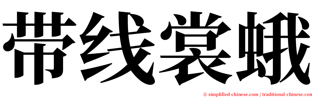 带线裳蛾 serif font