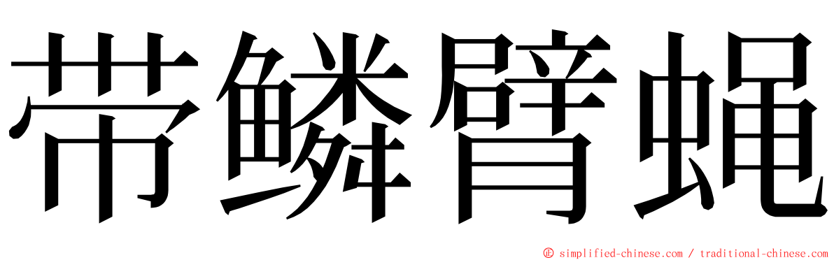 带鳞臂蝇 ming font