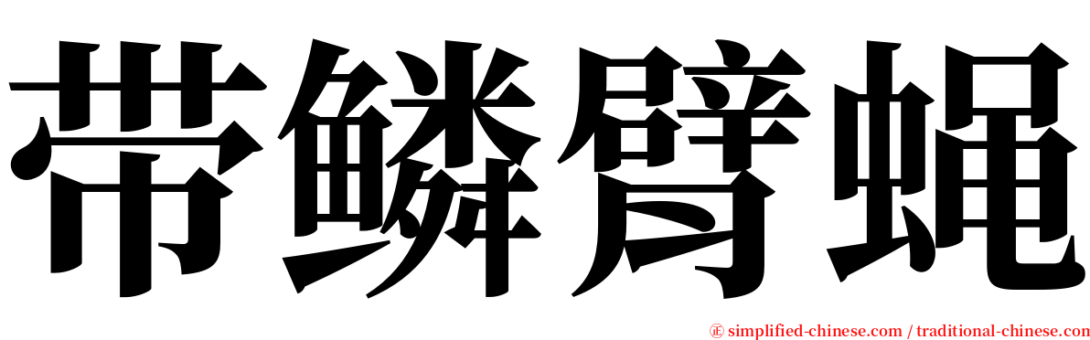 带鳞臂蝇 serif font