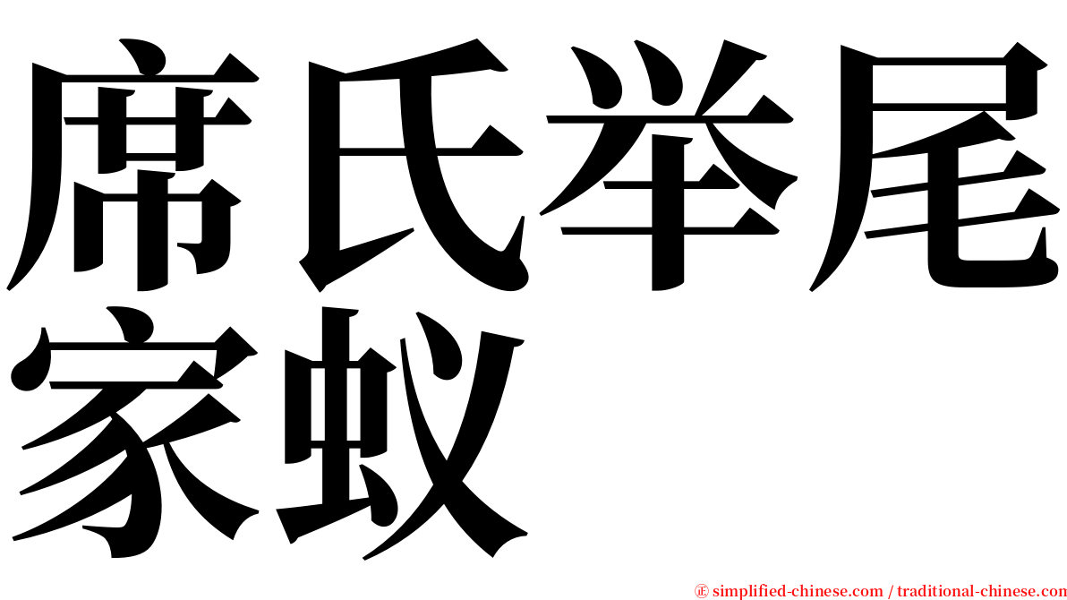 席氏举尾家蚁 serif font