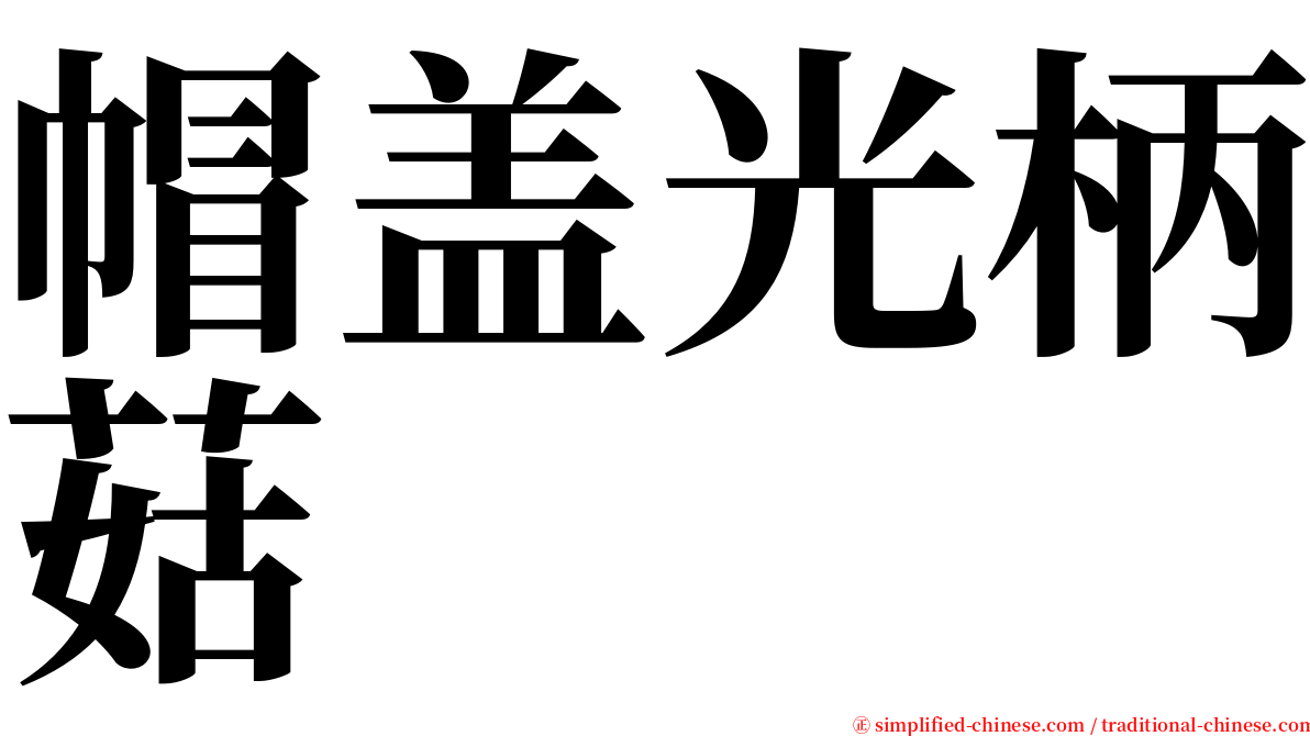 帽盖光柄菇 serif font