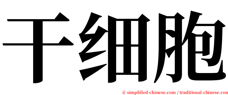 干细胞 serif font