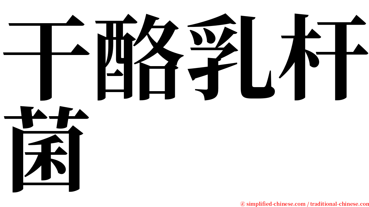 干酪乳杆菌 serif font