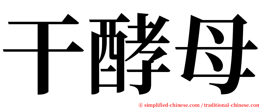 干酵母 serif font