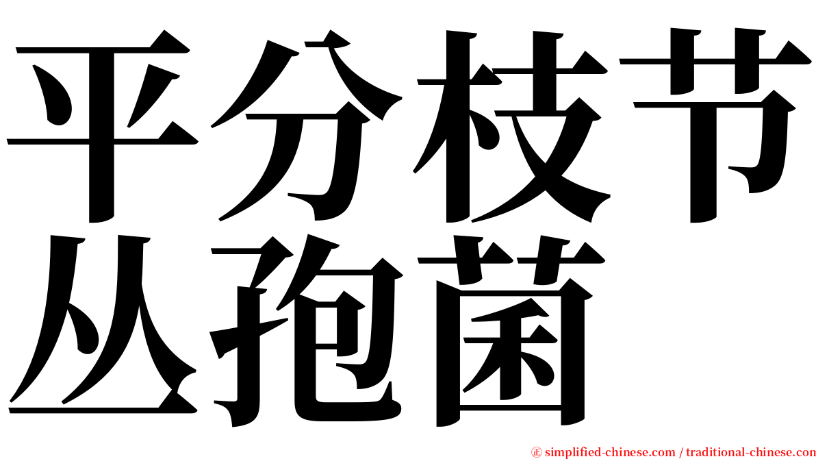 平分枝节丛孢菌 serif font