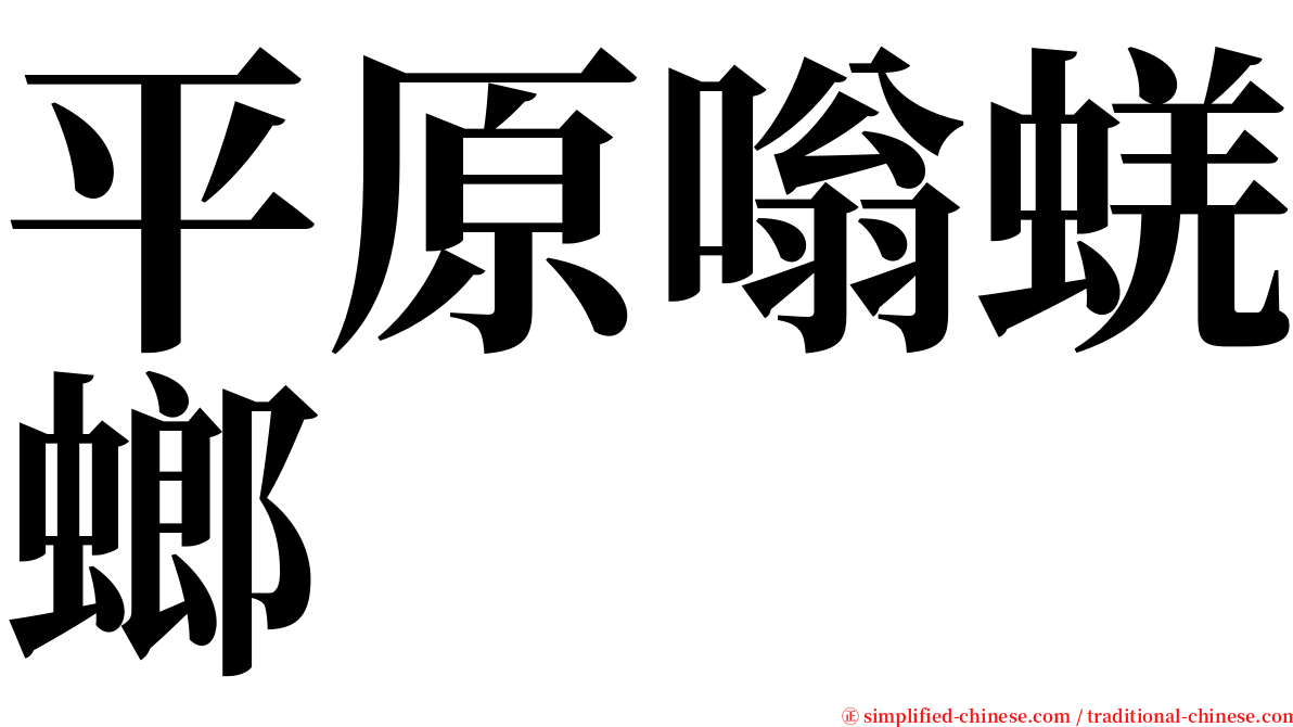 平原嗡蜣螂 serif font