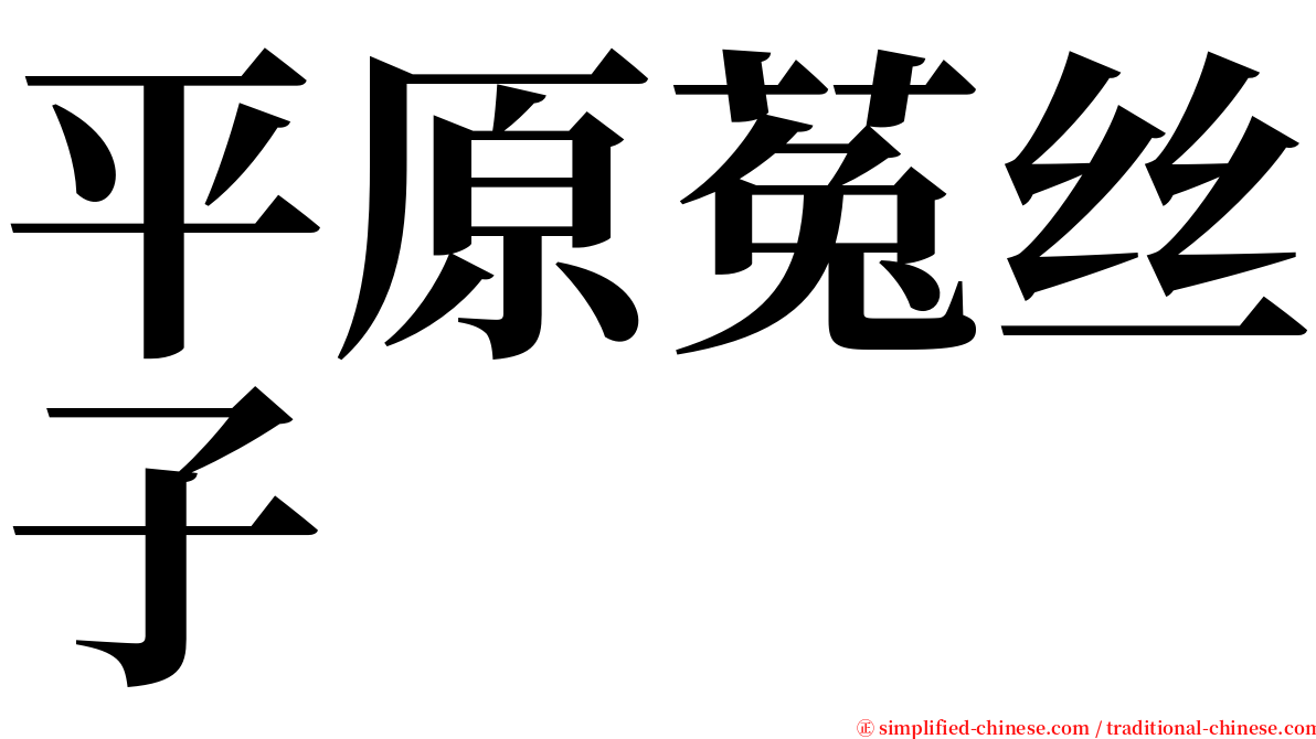 平原菟丝子 serif font