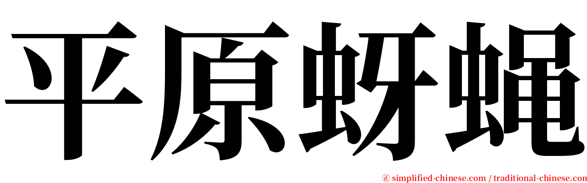 平原蚜蝇 serif font