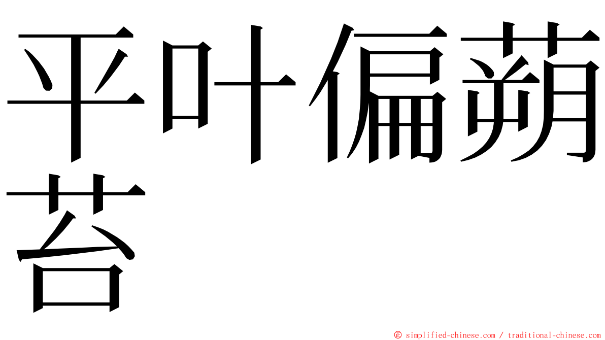 平叶偏蒴苔 ming font