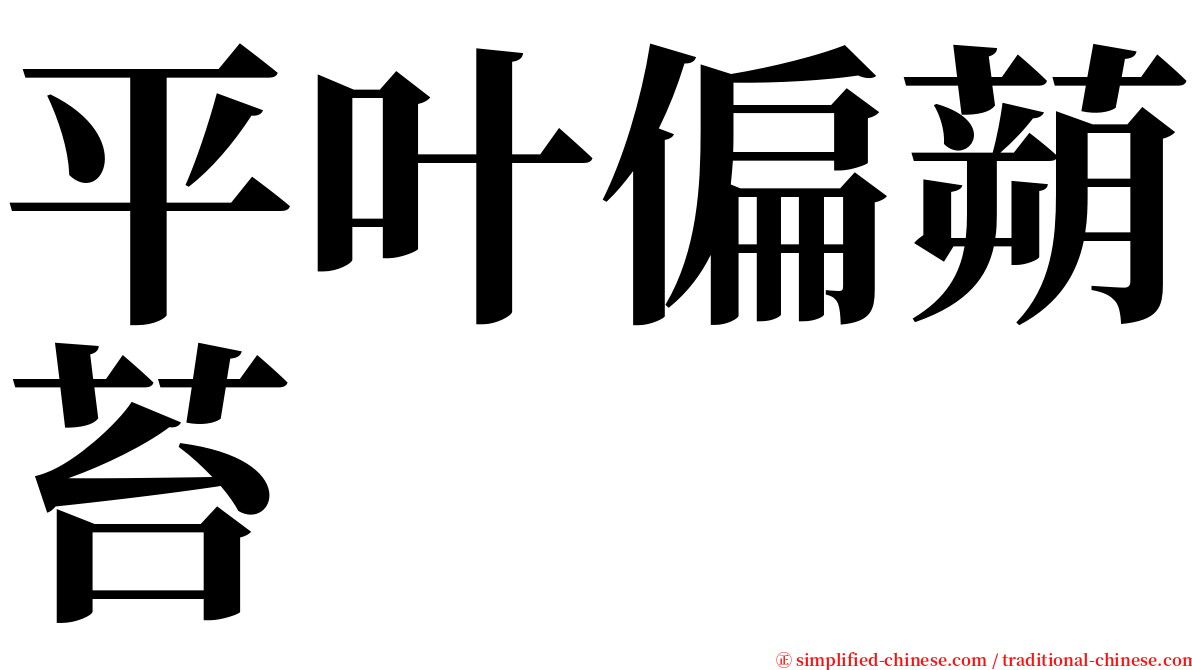 平叶偏蒴苔 serif font