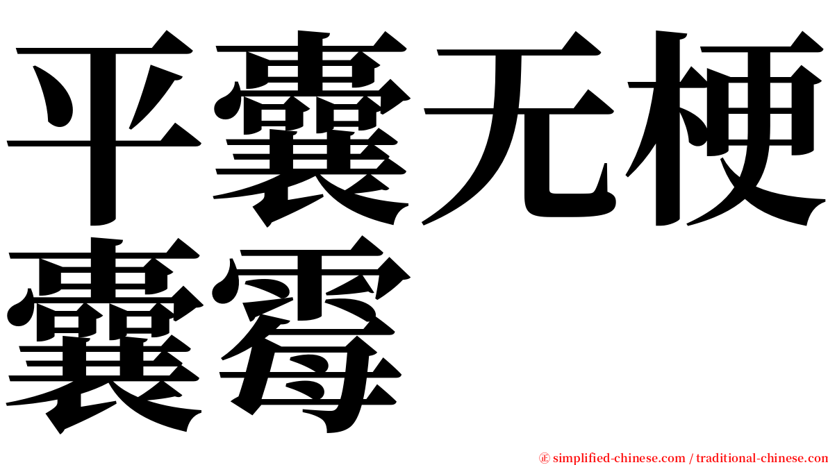 平囊无梗囊霉 serif font