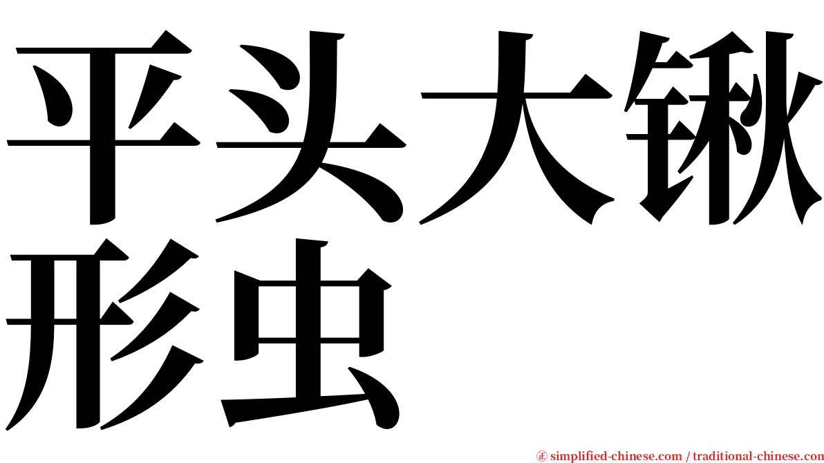 平头大锹形虫 serif font