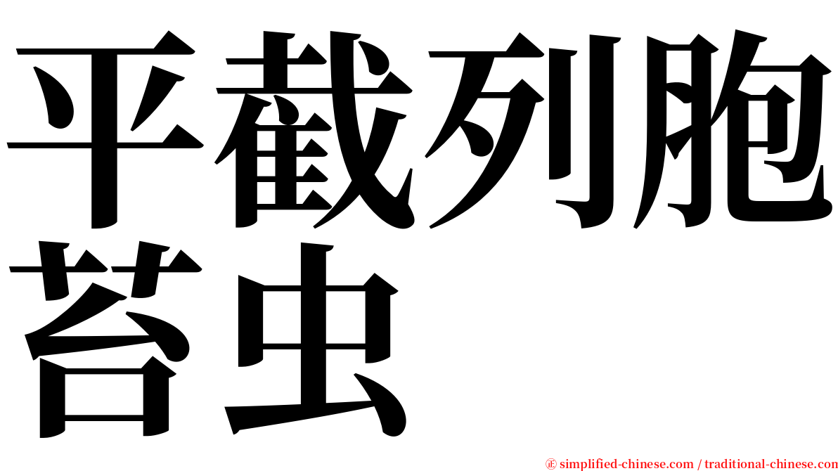 平截列胞苔虫 serif font