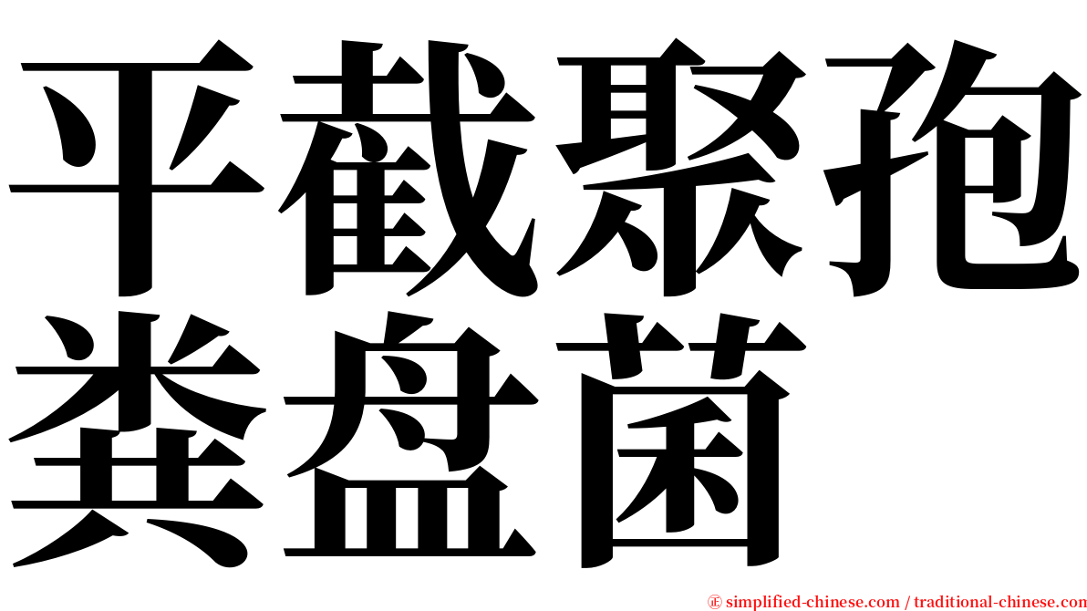 平截聚孢粪盘菌 serif font