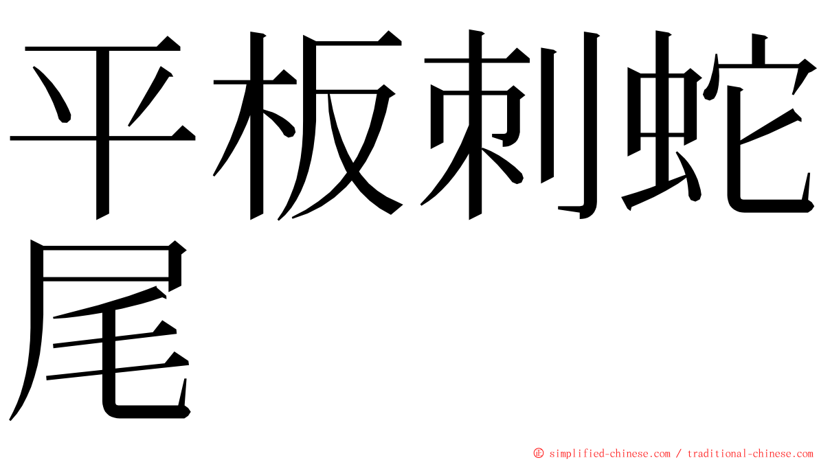 平板刺蛇尾 ming font