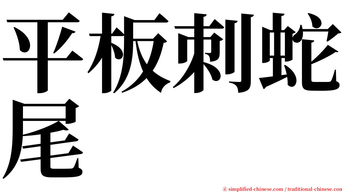 平板刺蛇尾 serif font