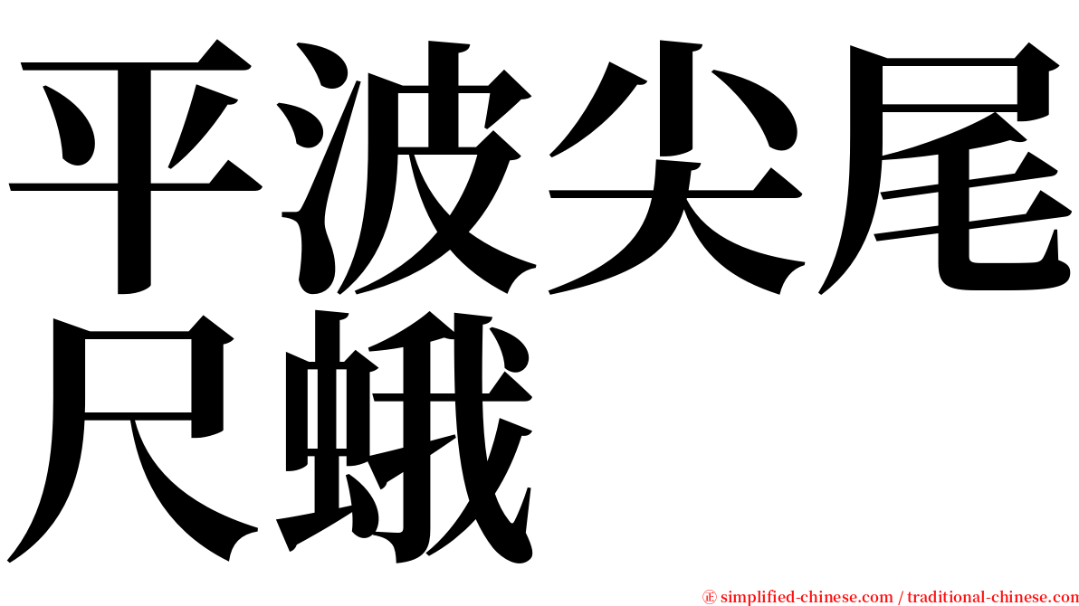 平波尖尾尺蛾 serif font