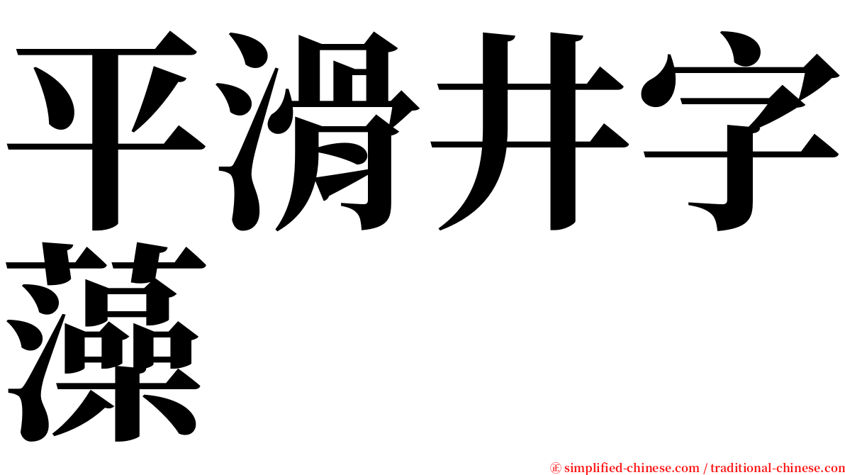 平滑井字藻 serif font