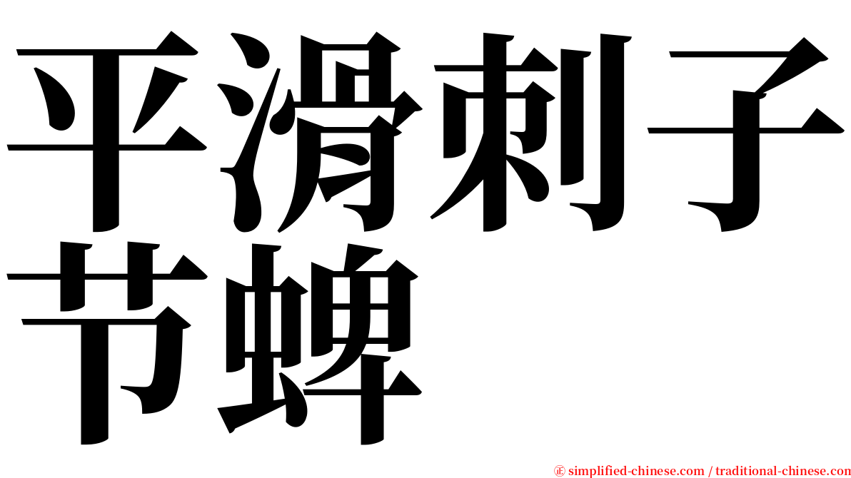 平滑刺子节蜱 serif font