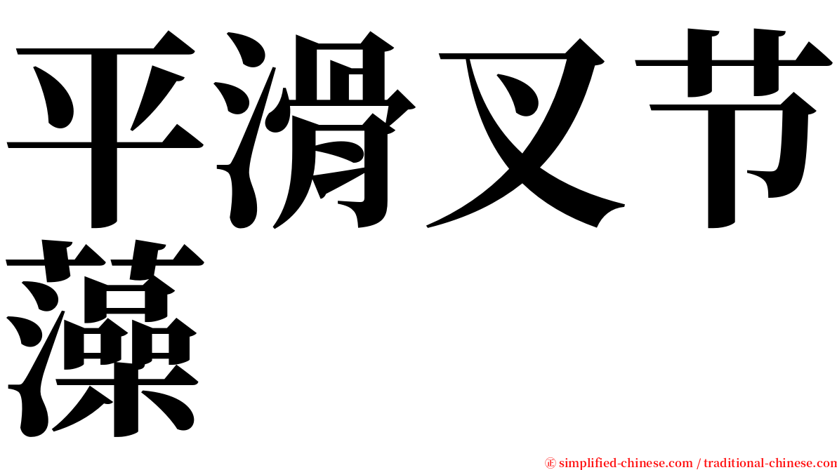 平滑叉节藻 serif font