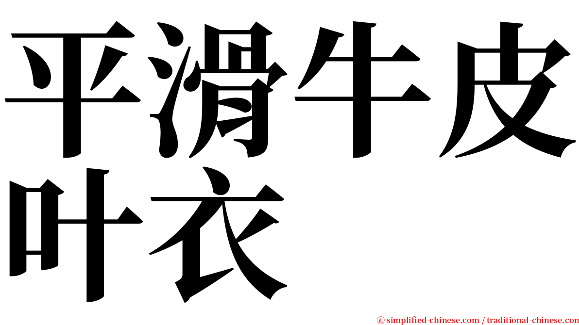 平滑牛皮叶衣 serif font