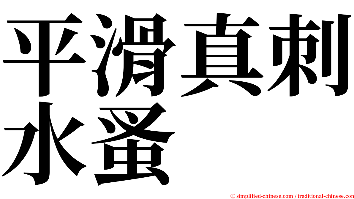 平滑真刺水蚤 serif font