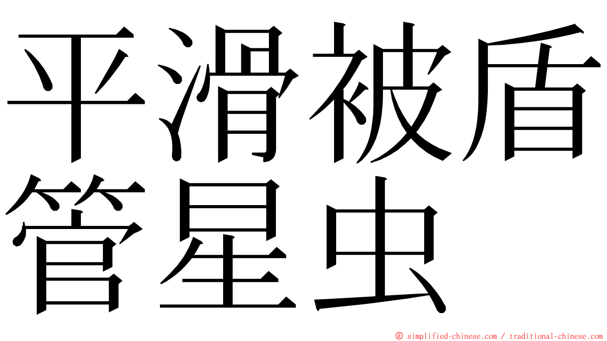 平滑被盾管星虫 ming font