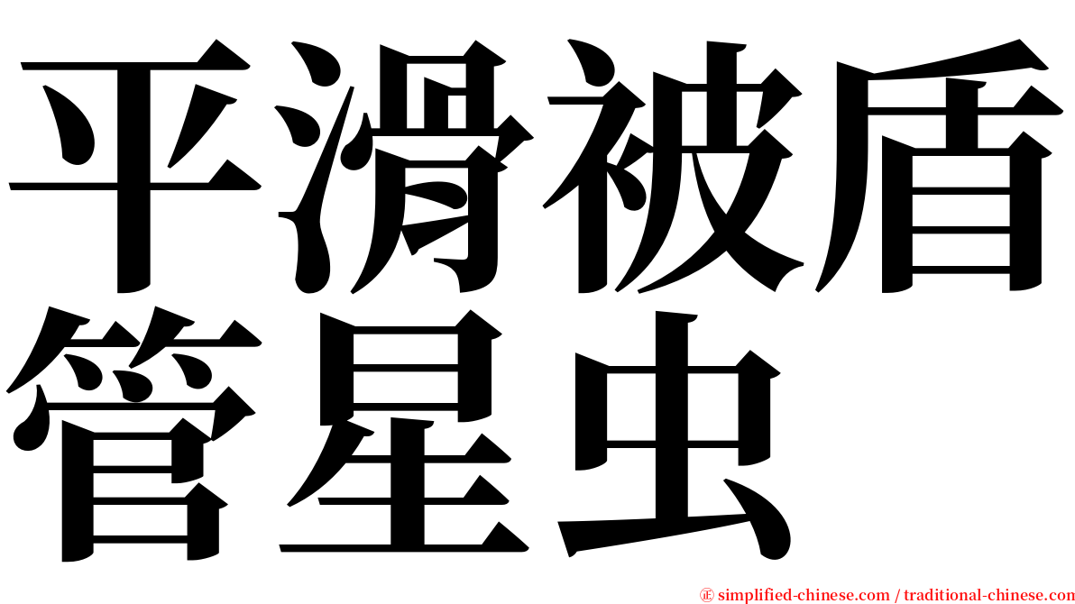 平滑被盾管星虫 serif font